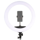 Studioking LED ringlampe sæt 65W LR-650