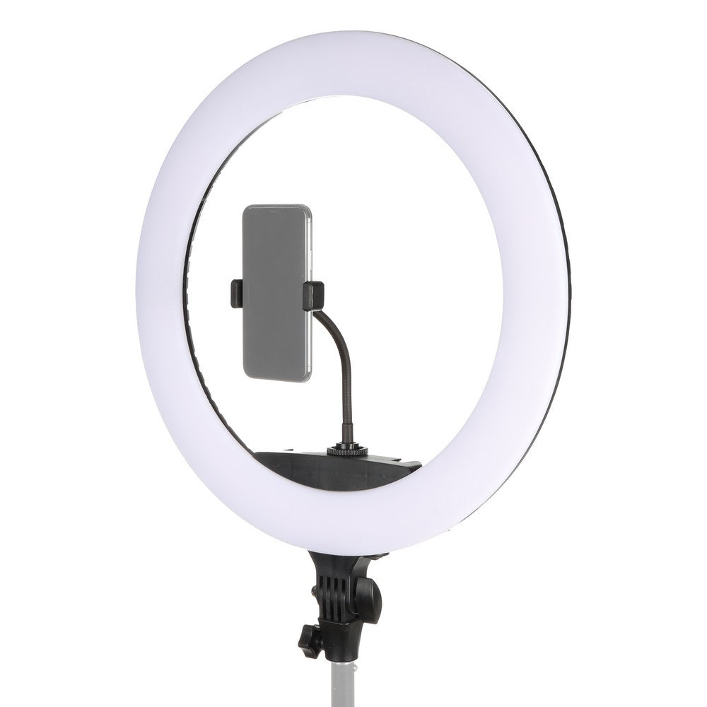 Studioking LED ringlampe sæt 65W LR-650