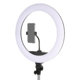 Studioking LED ringlampe sæt 65W LR-650