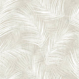 Hollandske vægcoverings tapet palm beige