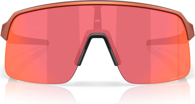 Oakley sutro lite sportsbriller