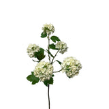 Roberts kollektion kunstig blomster snebold spray 83cm creme