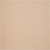 Creativ virksomhed https: www.cchobby.nl hobbyfelt-a4-ark-210x297-mm-tykkelse-1-5-2-mm-lys-beige-10-ark-1-kasse