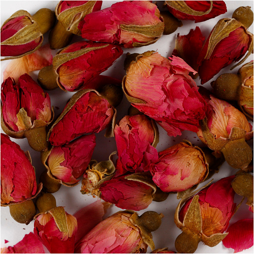 Creativ Company Dried Flowers Rose Buttons, 15gr
