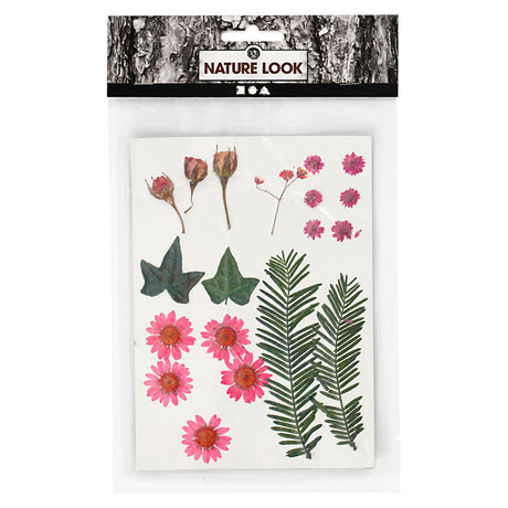 Creativ virksomhed https: www.cchobby.nl tørrede-blomster-og-blade-ca-19-piece-lightred-1-box