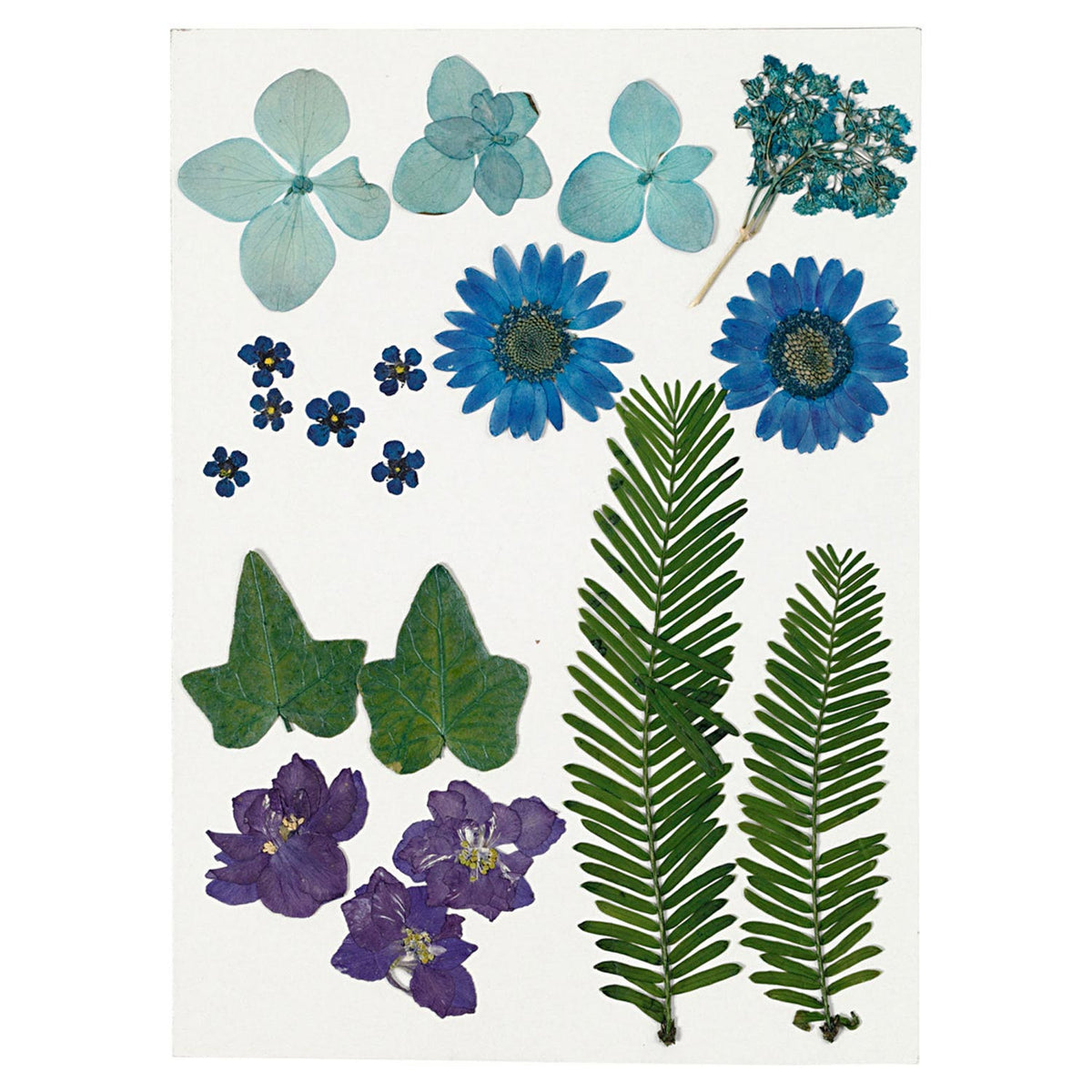 Creativ firma tørrede blomster og blade blå, 19 stk.