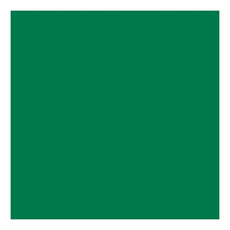 Creativ Company Tissue Paper Green 10 Sheets 14 Gr, 50x70cm