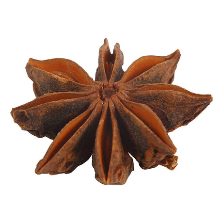 Creativ virksomhed https: www.cchobby.nl star-anise-10-piece-1-box