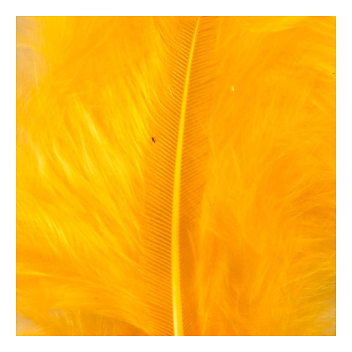 Creativ Company Down Yellow 5-12 cm, 15 ..