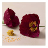 Creativ Company Mini Hobbyset Crepepapier Poppies