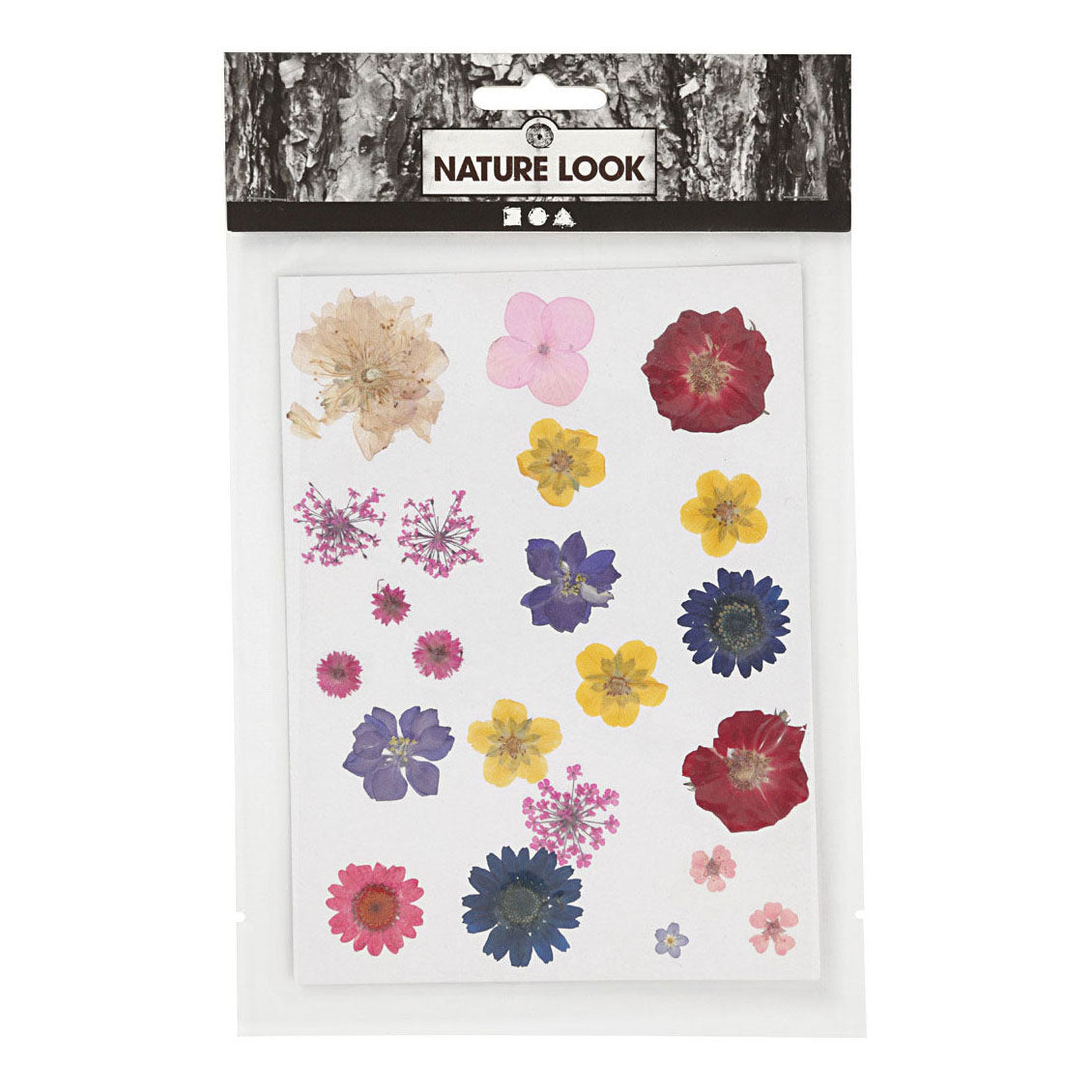 Creativ Company tørrede blomster og efterlader forskellige farver