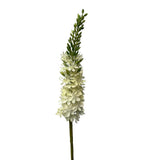 Roberts kollektion kunstig blomst eremures spray 82cm hvid