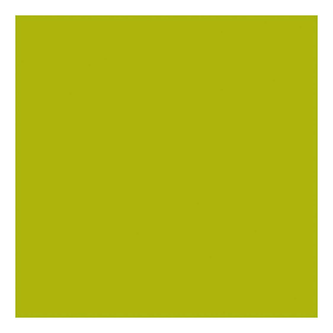 Creativ virksomhed https: www.cchobby.nl acryl-paint-with-glitters-lime-green-500-ml-1-bottle