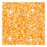 Creativ virksomhed https: www.cchobby.nl foam-clayr-glitter-orange-35-gr-1-doosje