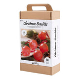 Kreativ virksomhed https: www.cchobby.nl hobbyset-christmas-balls-marmeren-1-doos