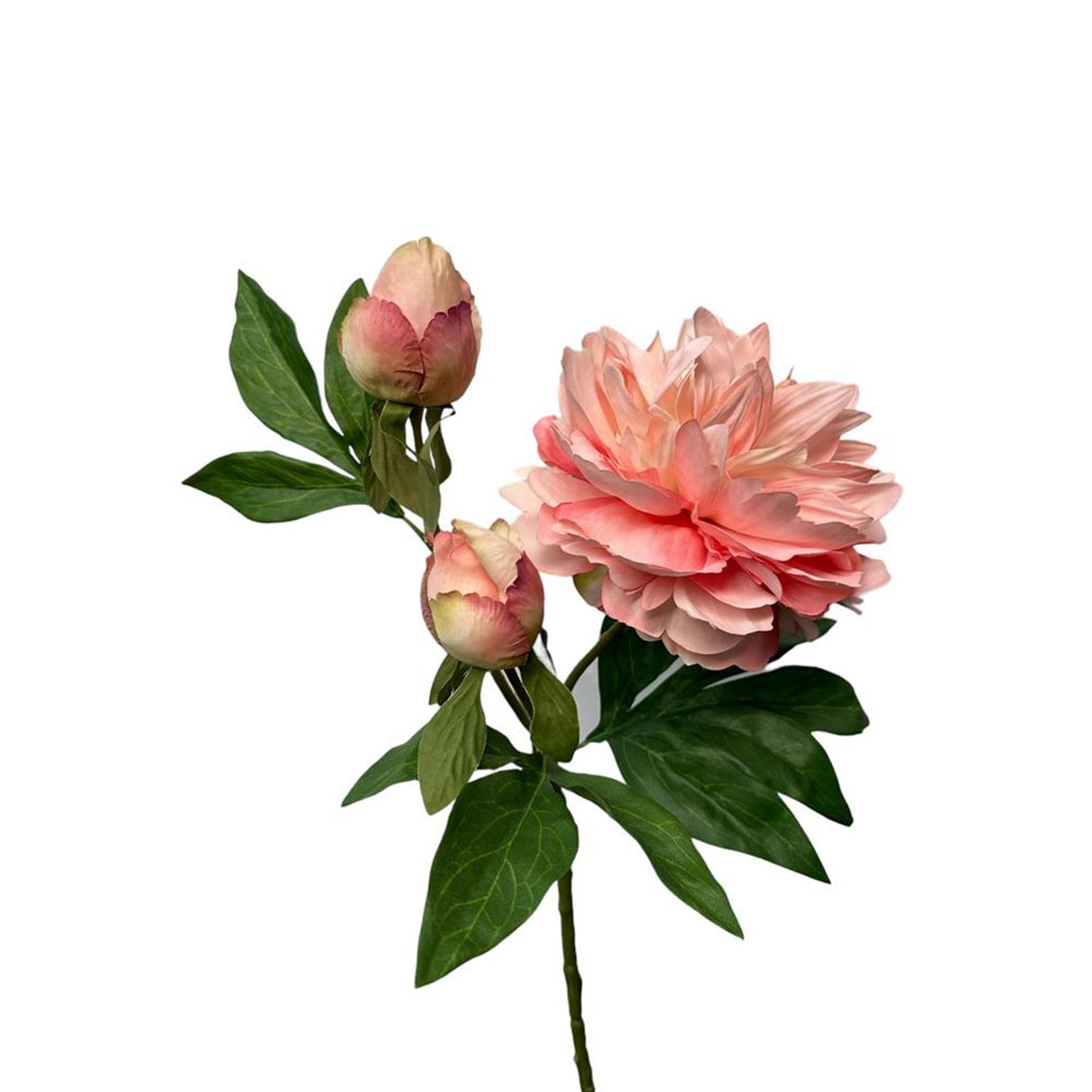 Roberts kollektion kunstig blomsterpæon spray 64cm fersken