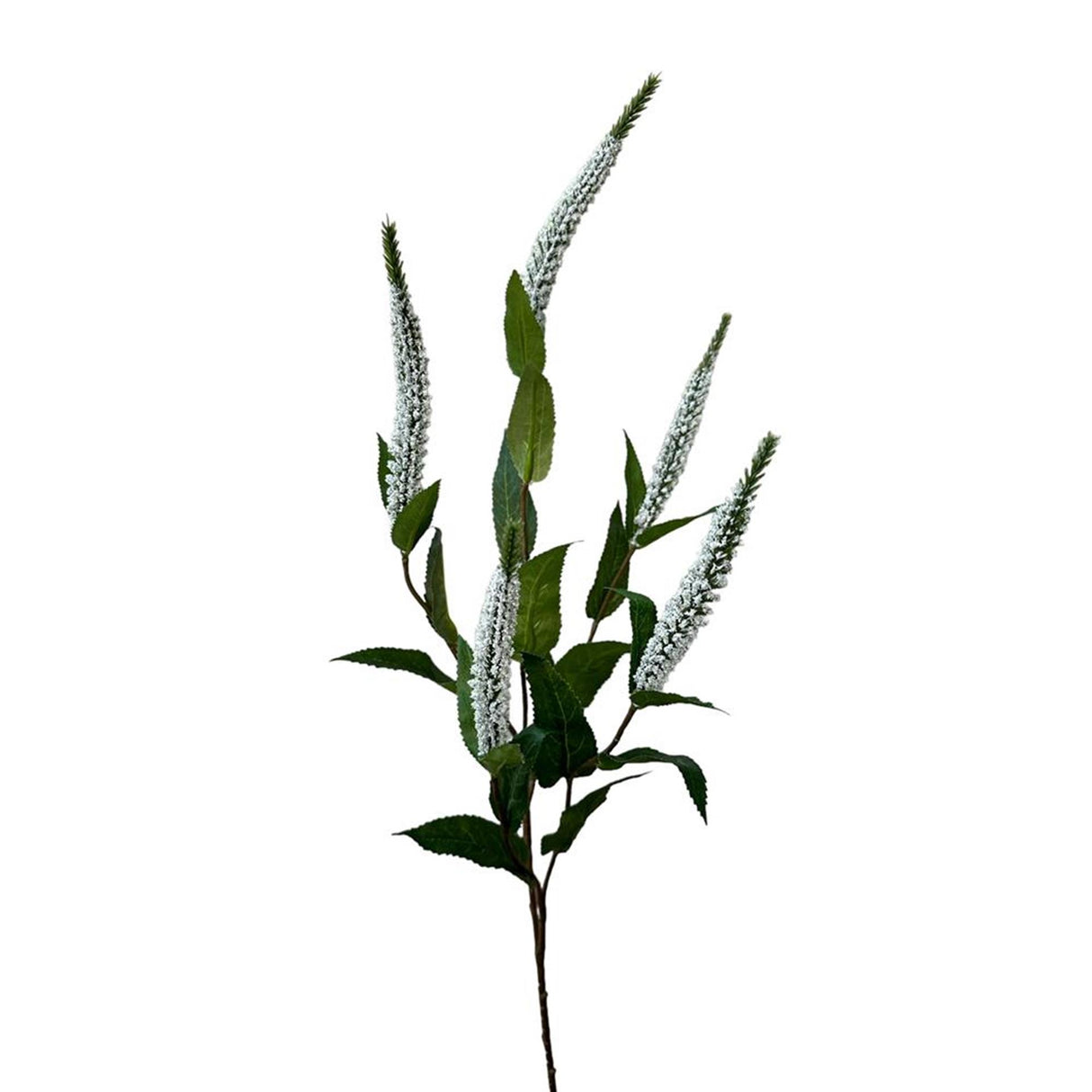 Roberts kollektion kunstig blomst veronica 52cm hvid