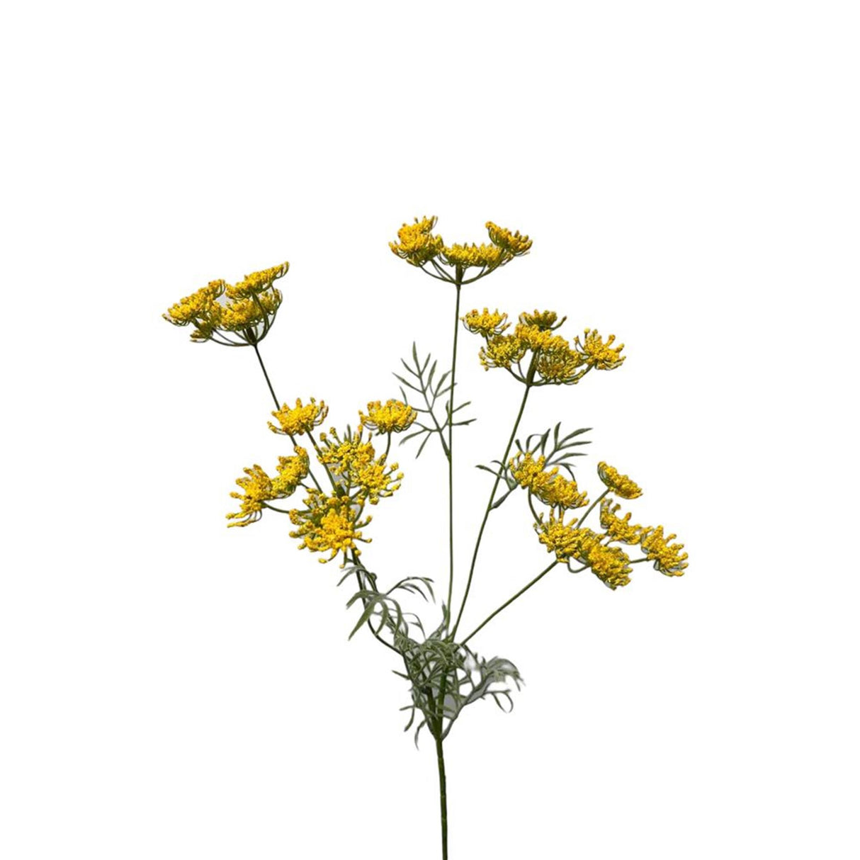 Roberts collection kunstbloem dille 80cm geel