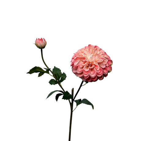 Roberts kollektion kunstige blomster dahlia spray 74cm perle