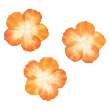 Farvning - Washi -klistermærker - Orange kronblade, 80.