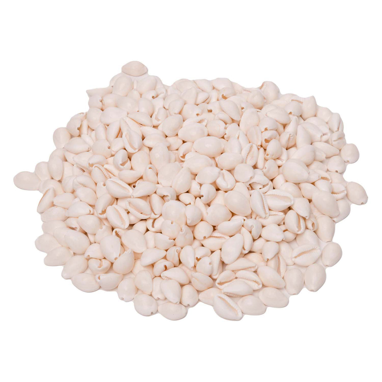 Farver - muslingeskaller cowrie, 300g