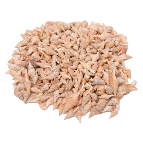 Farver - havskaller turrid, 400g