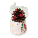 Farver - gipsrulle - 10cm x 3m, 5 stk.