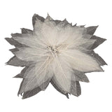 Magnolia bladskeletter, 50 stk.