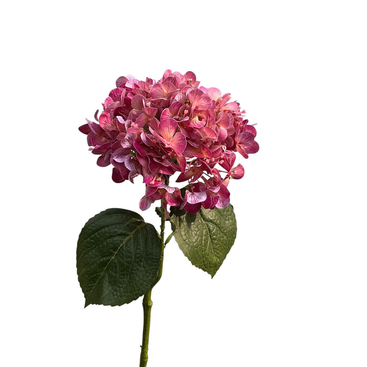 Roberts kollektion kunstig blomst hortensia ægte touch 75cm lilla