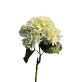 Roberts kollektion kunstig blomst hortensia ægte touch 75cm creme