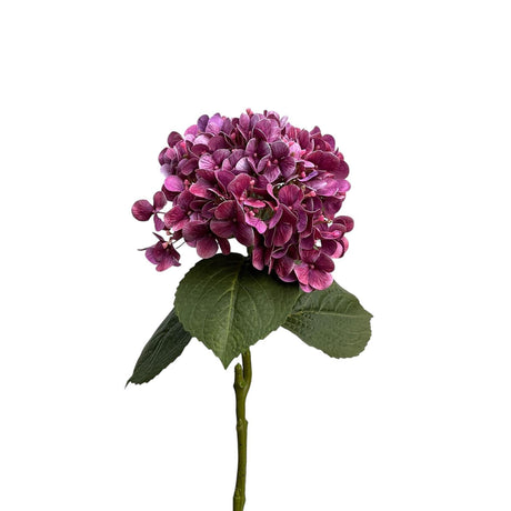 Roberts kollektion hortensia ægte touch 75cm lilla