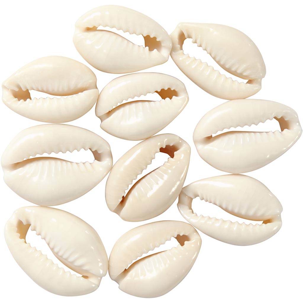 Creativ virksomhed https: www.cchobby.nl shells-l-20-mm-12-piece-1-box