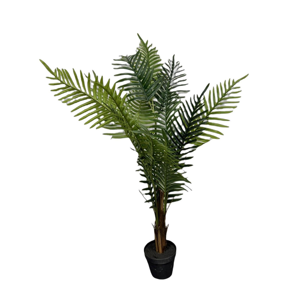 Deco madagaskar palme i potte h120cm