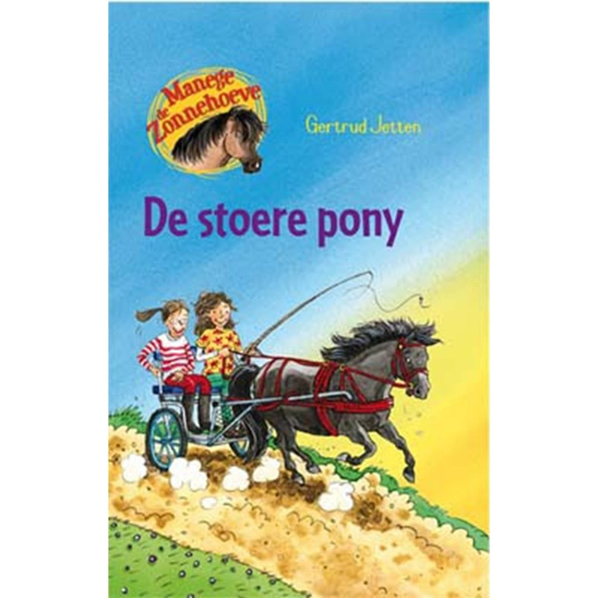 Kluitman rideskole De Zonnehoeve, den seje pony