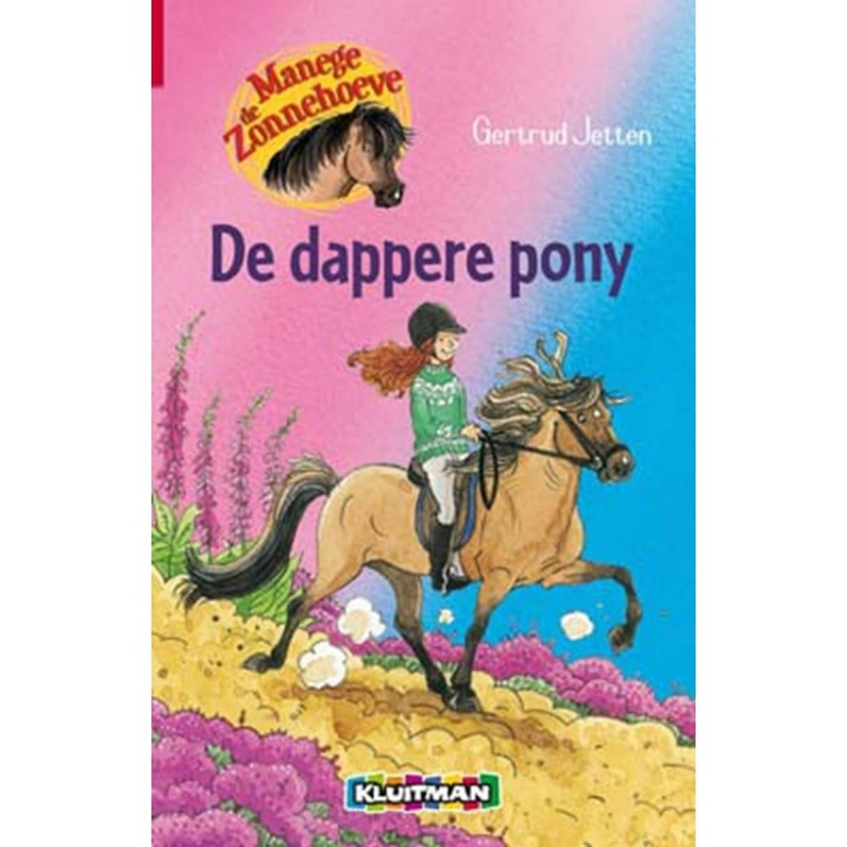 Kluitman rideskole De Zonnehoeve: den modige pony