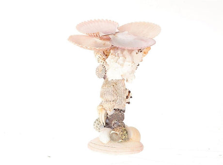Hbx naturlig levende lysestage med skaller dia15,5x16cm