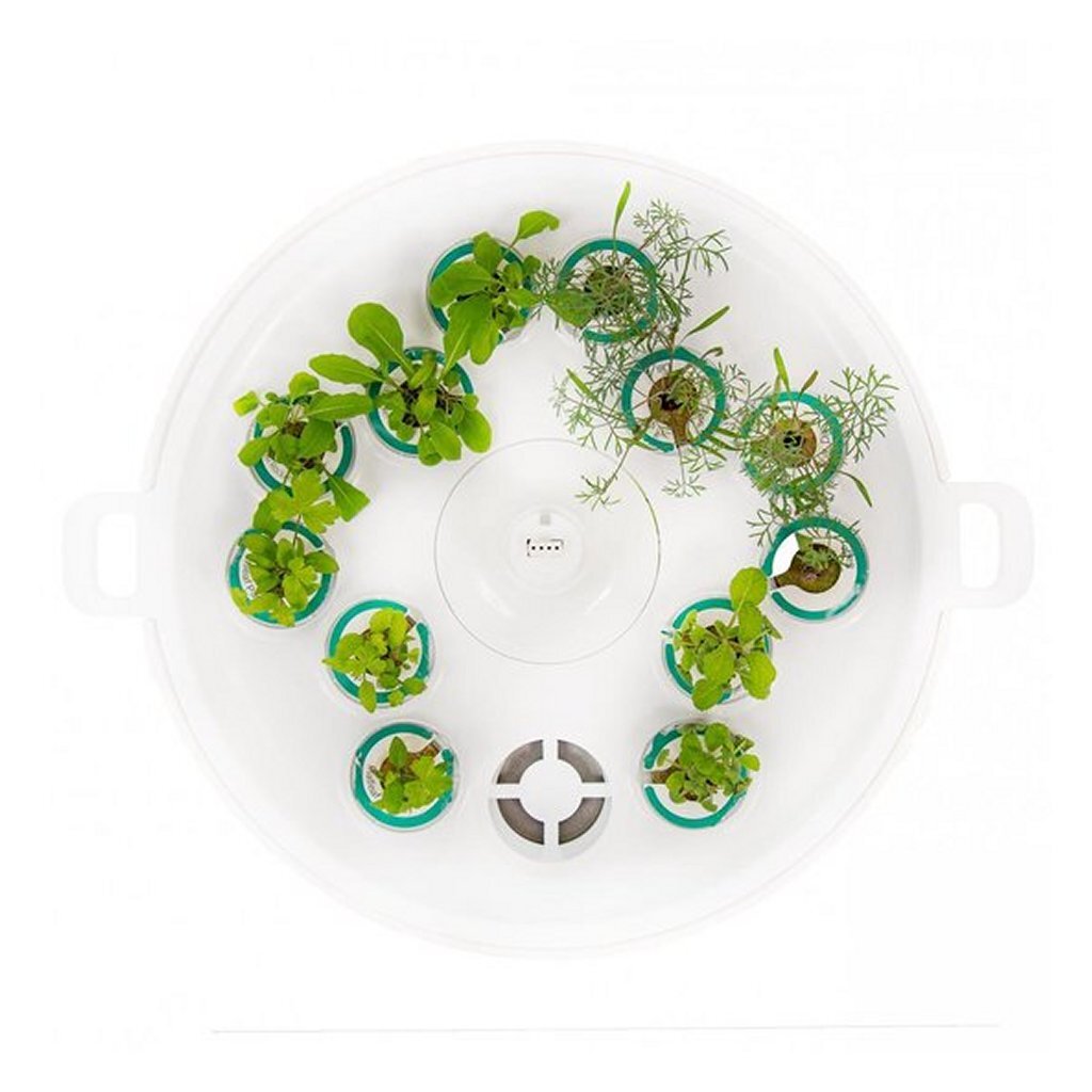 Plantui boosterbakke hvid