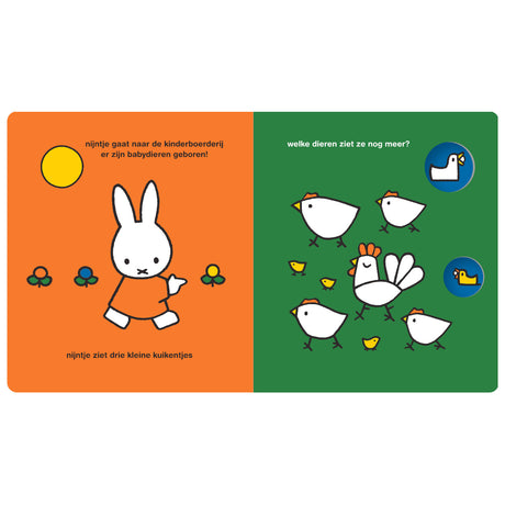 Central boghus Miffy i børnezooen