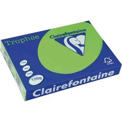 Farvet papir clairefontaine a4 120 g m² mintgrøn 250 ark