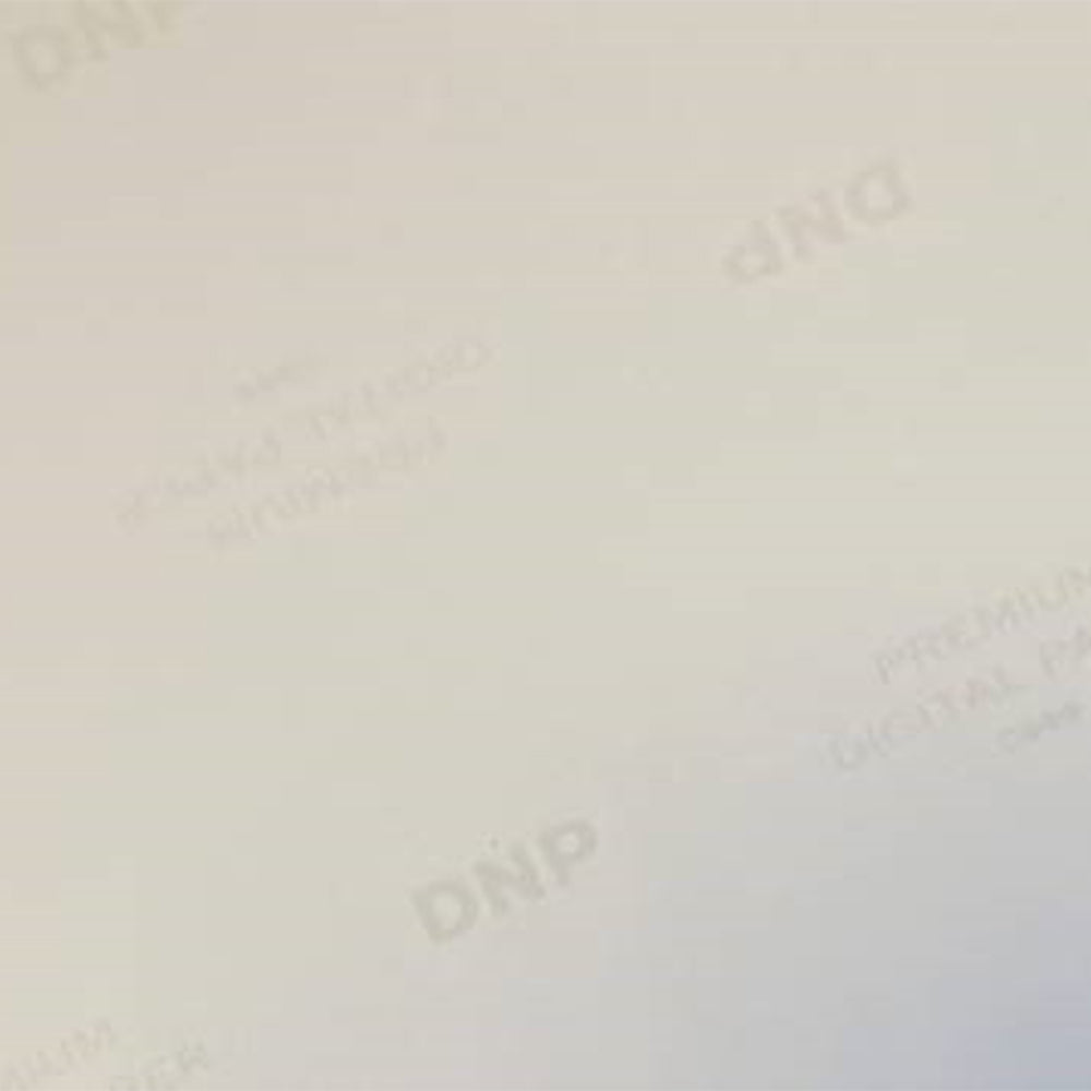 DNP Standard Paper DSRX1HS-4X6 2 RULL � 700 St. 10x15 for DS-RX1HS