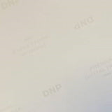 DNP Standard Paper DSRX1HS-4X6 2 RULL � 700 St. 10x15 for DS-RX1HS