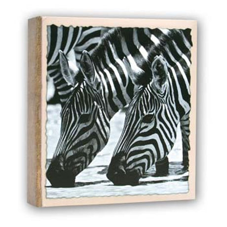 ZEP WL57100 Album Slip -I 100 Photos 13x19 cm - 12 albums