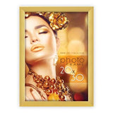 ZEP -fotoramme WT68G Wales Gold 15x20 cm