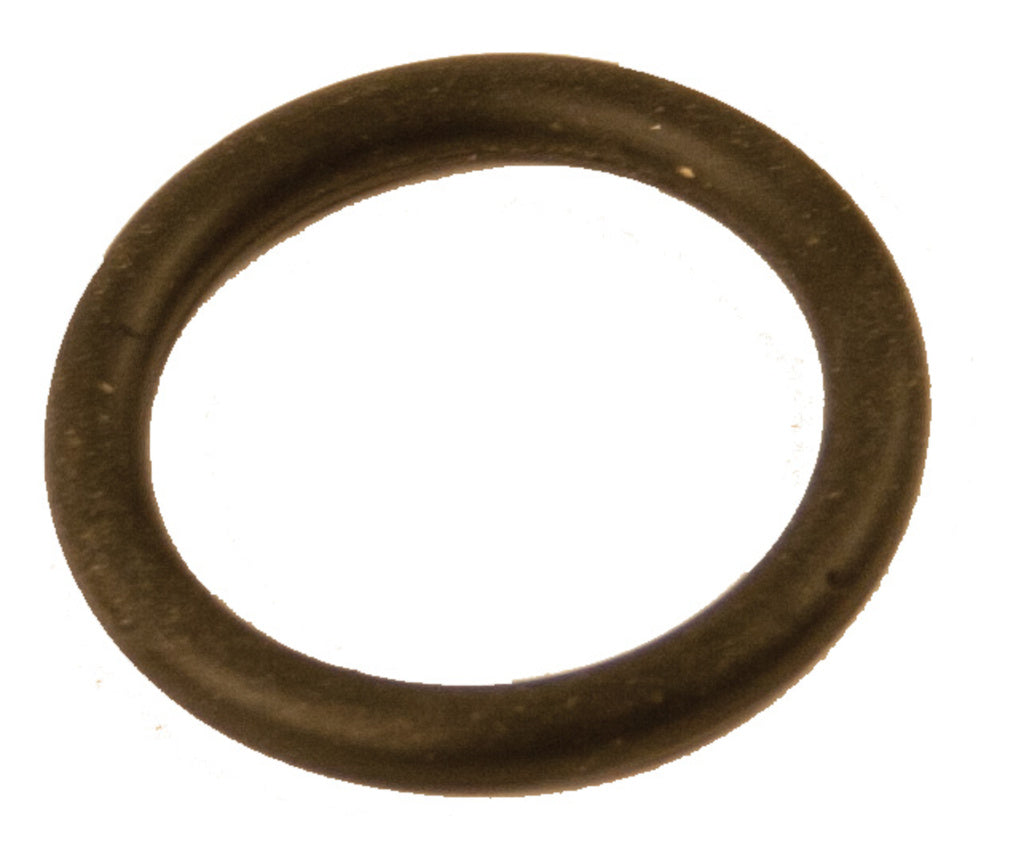 Aqua2go o ring kontrolventil
