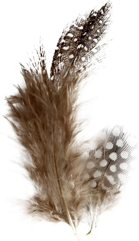 Creativ virksomhed https: www.cchobby.nl feathers-of-pearl-fowl-ca-100-piece-brown-3-gr-1-doos