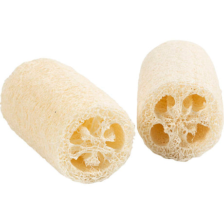 Tmf tormino opfyldelse https: www.cchobby.nl natural-loofah-sponge-l-10-cm-d-5-5-8-cm-light-natural-2-piece-1-box
