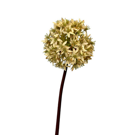 Roberts kollektion kunstig blomster allium løg 60 cm creme