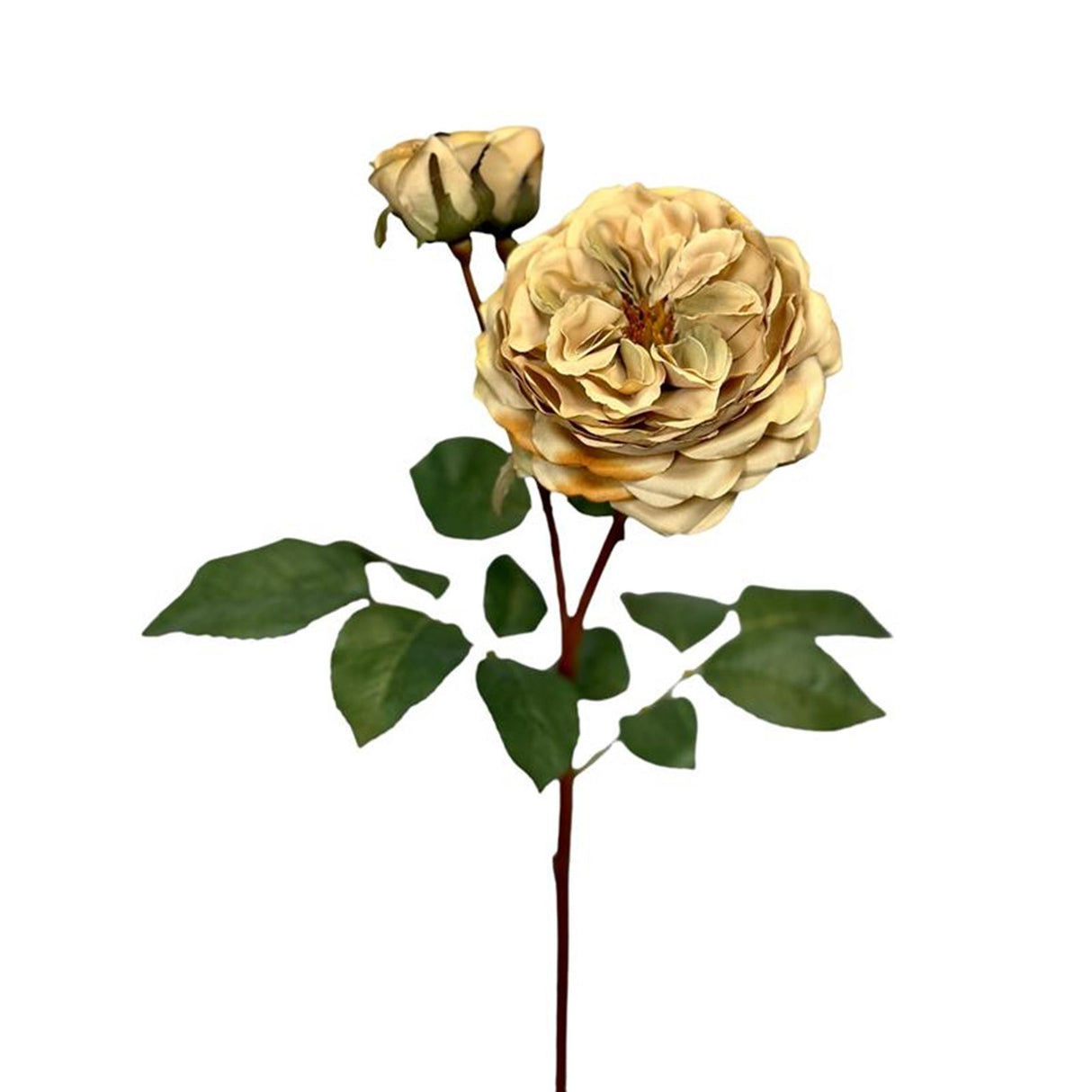 Roberts kollektion kunstig blomsterrosegren 1x åben + 2 knopper 55cm creme