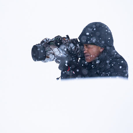 Buteo foto gear regn cover 1 sne