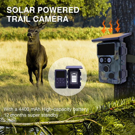 Stealth gear nightjar dual-cam solar 4k WiFi dyrelivskamera